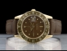 Rolex Gmt Master Tiger Eye Root Beer Nipple Dial 1675